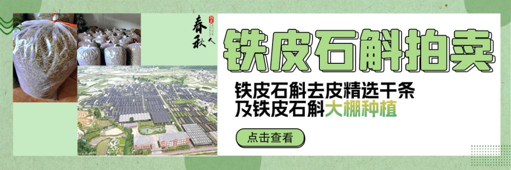 【拍卖预告】铁皮石斛干条及大棚种植拍卖